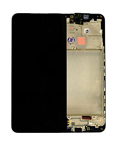 Samsung SM-A166P Galaxy A16 5G OEM Display (P Version)