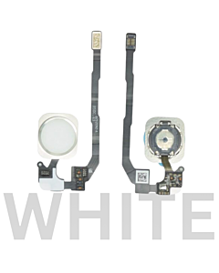 iPhone 5S Home Button Flex White